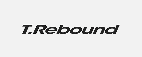 tecnifibre t rebound grey